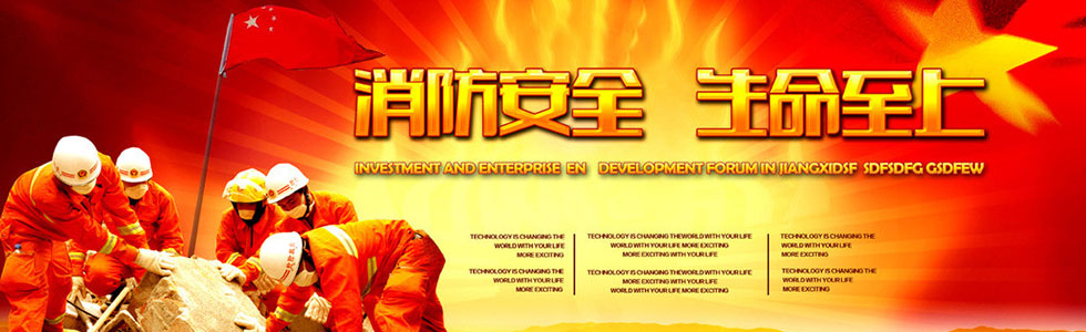 ������ȫ������������